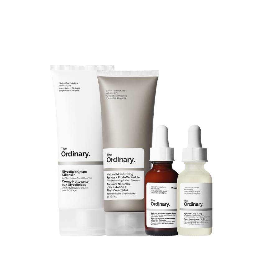 The Ordinary Barrier Support Collection Set — Item Information　yy Wn