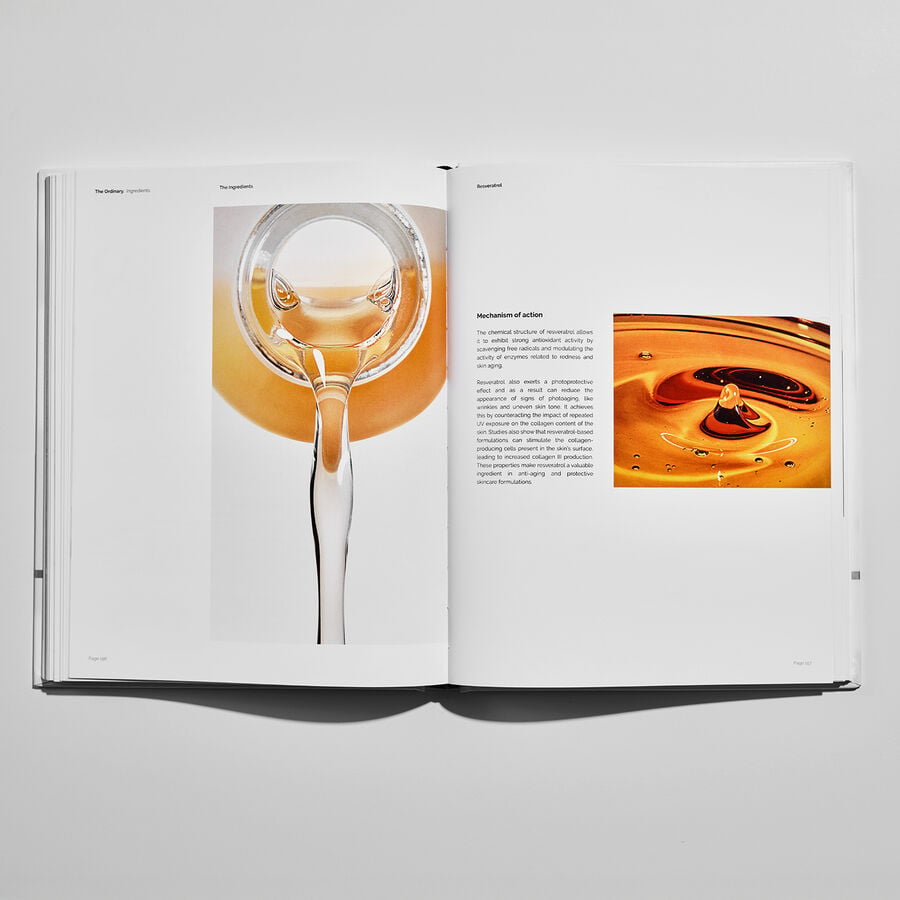 The Ordinary Ingredients Guide Book | Detailed Overview　Up FV